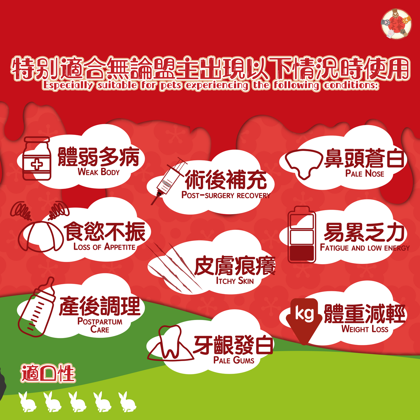 補鐵兔血